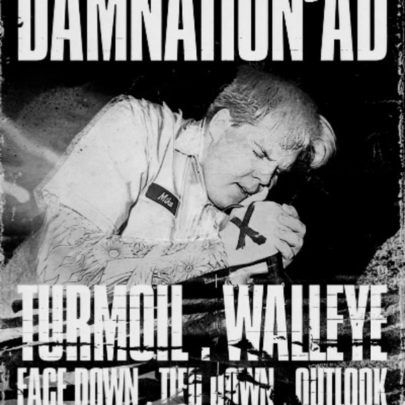 Meet your Posher, Coco - Picture 12 of 13